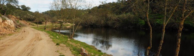 Pista de Pesca de Pavia
