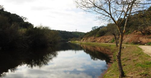 Pista de Pesca de Pavia