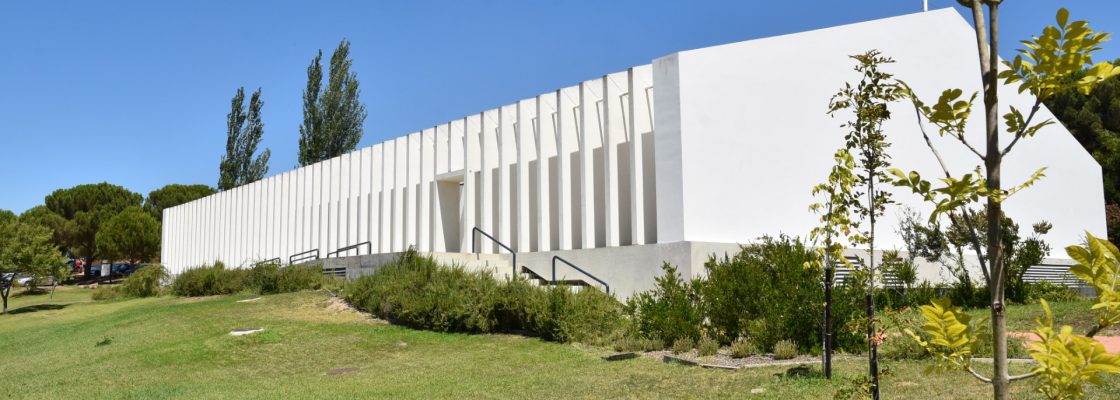 Alargamento do prazo de candidaturas ao Prémio Jovem Cientista do Ano
