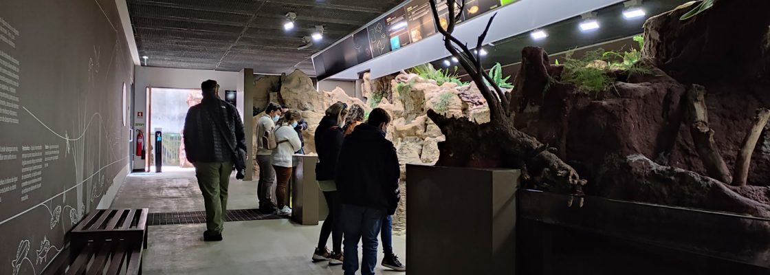 Fluviário e Museu do Megalitismo com redução do preço dos bilhetes