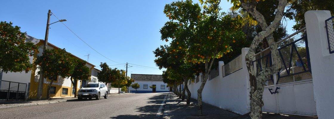 Município doa laranjas às IPSS do Concelho