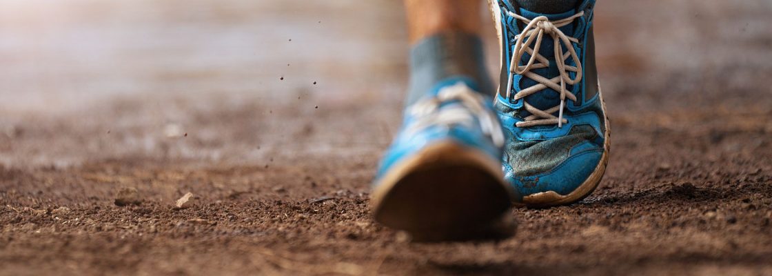 Município de Mora apoia realização de I Trail “Por Terras De Outrora”
