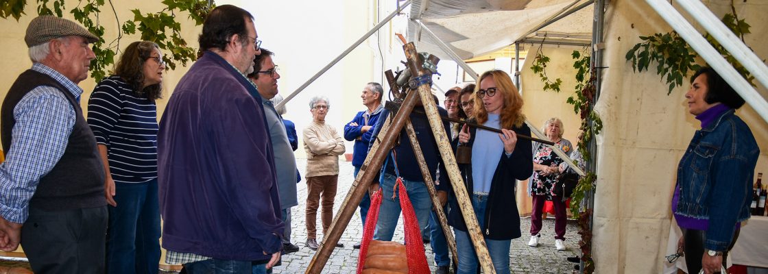 Festival da Abóbora animou a Praça Conselheiro Fernando de Sousa