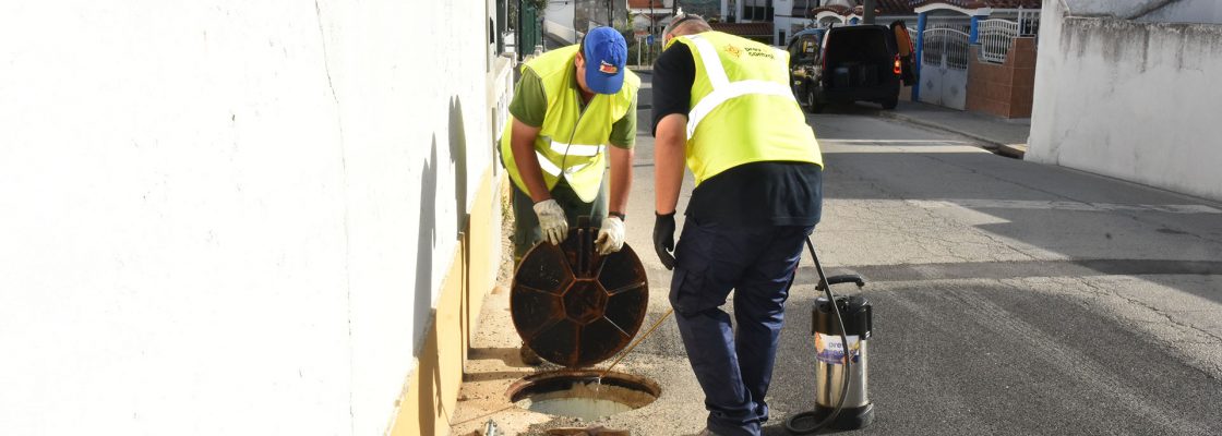 Prevenção de pragas no Concelho de Mora